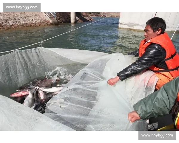 雨后水库捕鱼潮:千人围捕,有人日赚 1500 元