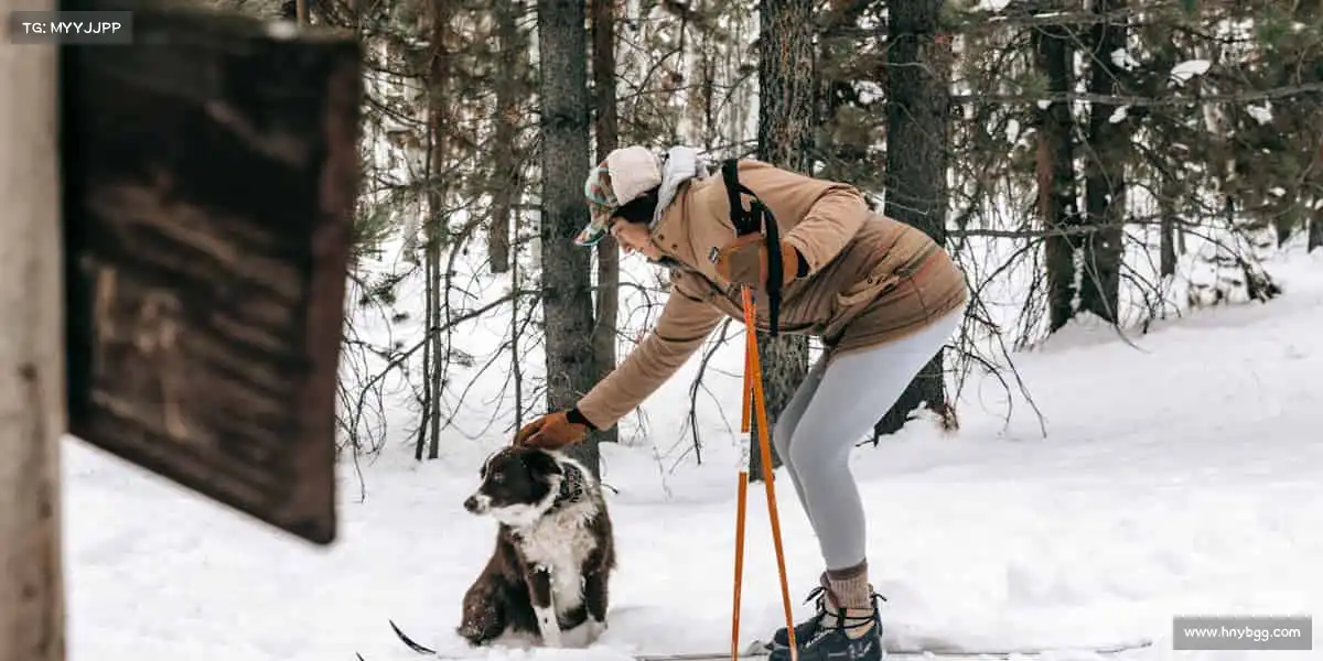 MILE米乐🏓小球转动大梦想，脚步丈量新高度 —— 你的体育舞台，等你登场！